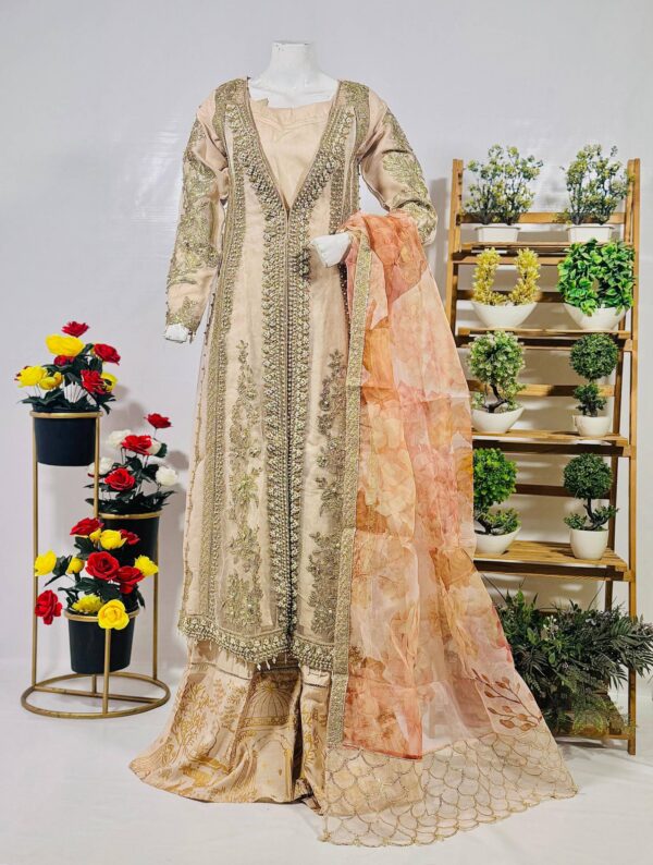 Fancy Beige Embroidered Gown Maxi - Image 5