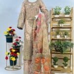 Fancy Embroidered Dress with Velvet and Net Detailing