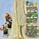 Embroidered Chiffon Ensemble