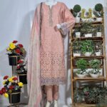 Graceful Embroidered Suit