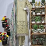 Graceful Embroidered Suit